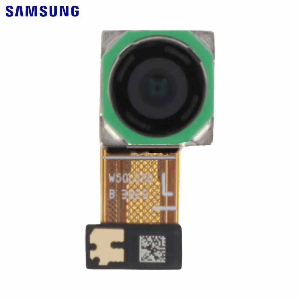 Caméra Arrière Principale Galaxy A15 (50MP) : Originale Samsung + Outils